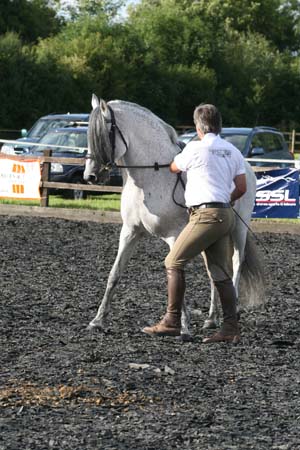 Levante starting walk pirouette right